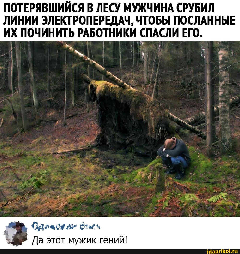 ПОТЕРЯВШИЙСЯ В ЛЕСУ МУЖЧИНА СРУБИЛ ЛИНИИ ЭЛЕКТРОПЕРЕДАЧ, ЧТОБЫ ПОСЛАННЫЕ ИХ ПОЧИНИТЬ РАБОТНИКИ СПАСЛИ ЕГО.
Да этот мужик гений!