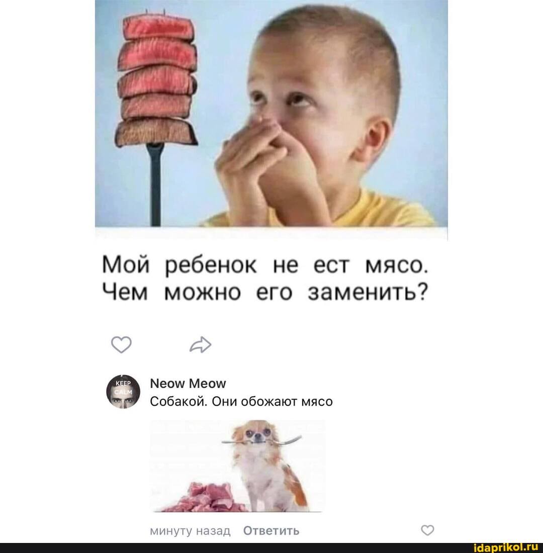 Мой ребенок не ест мясо.
Чем можно его заменить?
Меом/ Меом
Собакой. Они обожают мясо
Отретить.