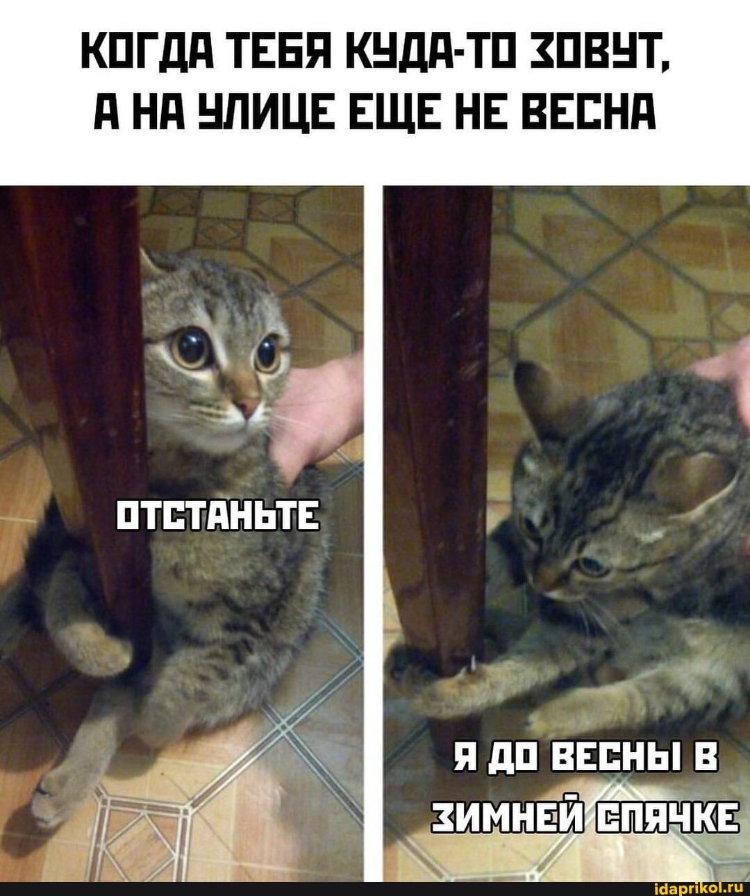 КОГДА ТЕБЯ КУДА-ТО ЗОВУТ,
А НА УЛИЦЕ ЕЩЕ НЕ ВЕСНА
ОТСТАНЬТЕ
I Я ДО ВЕСНЫ В зим