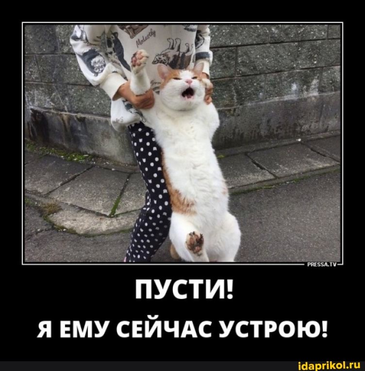 ПУСТИ!
ЕМУ СЕЙЧАС УСТРОЮ!