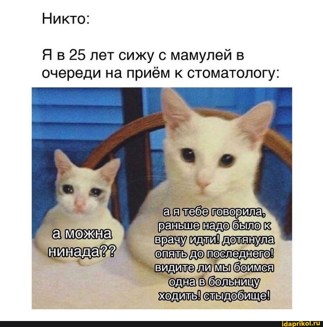 Никто:
25 лет сижу с мамулей в очереди на приём к стоматологу:
ан тебе 'свооила.
раньше нало зыло к а можна врачу идти! дотанула нинада?? до последнепо! видите ли мь. боимся
одна в больницу ходить! стыссбище!
