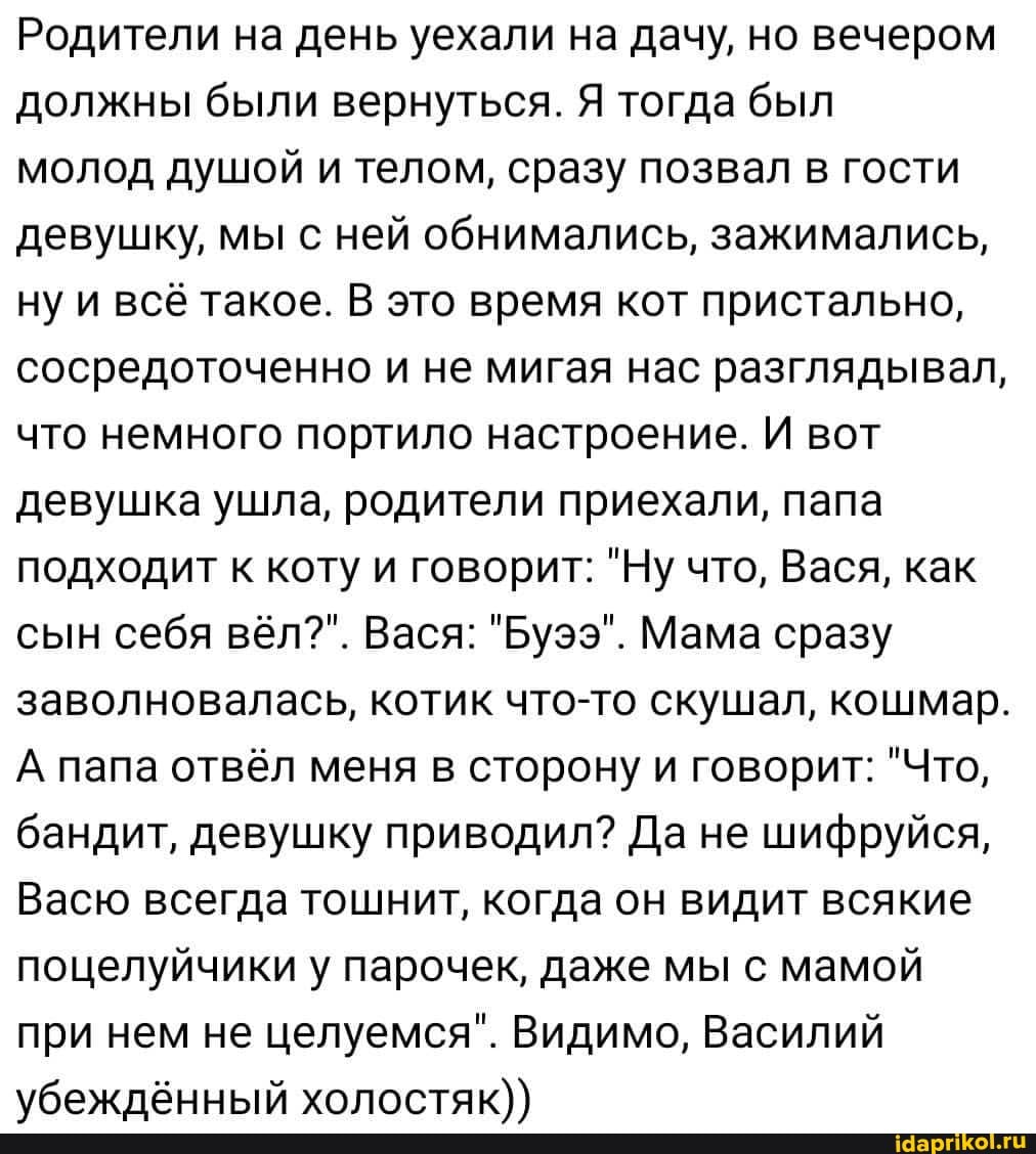 Родители на день уехали на дачу, но вечером должны были вернуться. Я тогда был
молод душой и телом, сразу позвал в гости девушку, мы с ней обнимались, зажимались, ну и всё такое. В это время кот пристально, сосредоточенно и не мигая нас разглядывал, что немного портило настроение. И вот девушка ушла, родители приехали, папа подходит к коту и говорит: "Ну что, Вася, как сын себя вёл?". Вася: "Буээ". Мама сразу заволновалась, котик что-то скушал, кошмар.
А папа отвёл меня в сторону и говорит: "Что, бандит, девушку приводил? Да не шифруйся,
Васю всегда тошнит, когда он видит всякие поцелуйчики у парочек, даже мы с мамой при нем не целуемся". Видимо, Василий убежлённый холостяк))