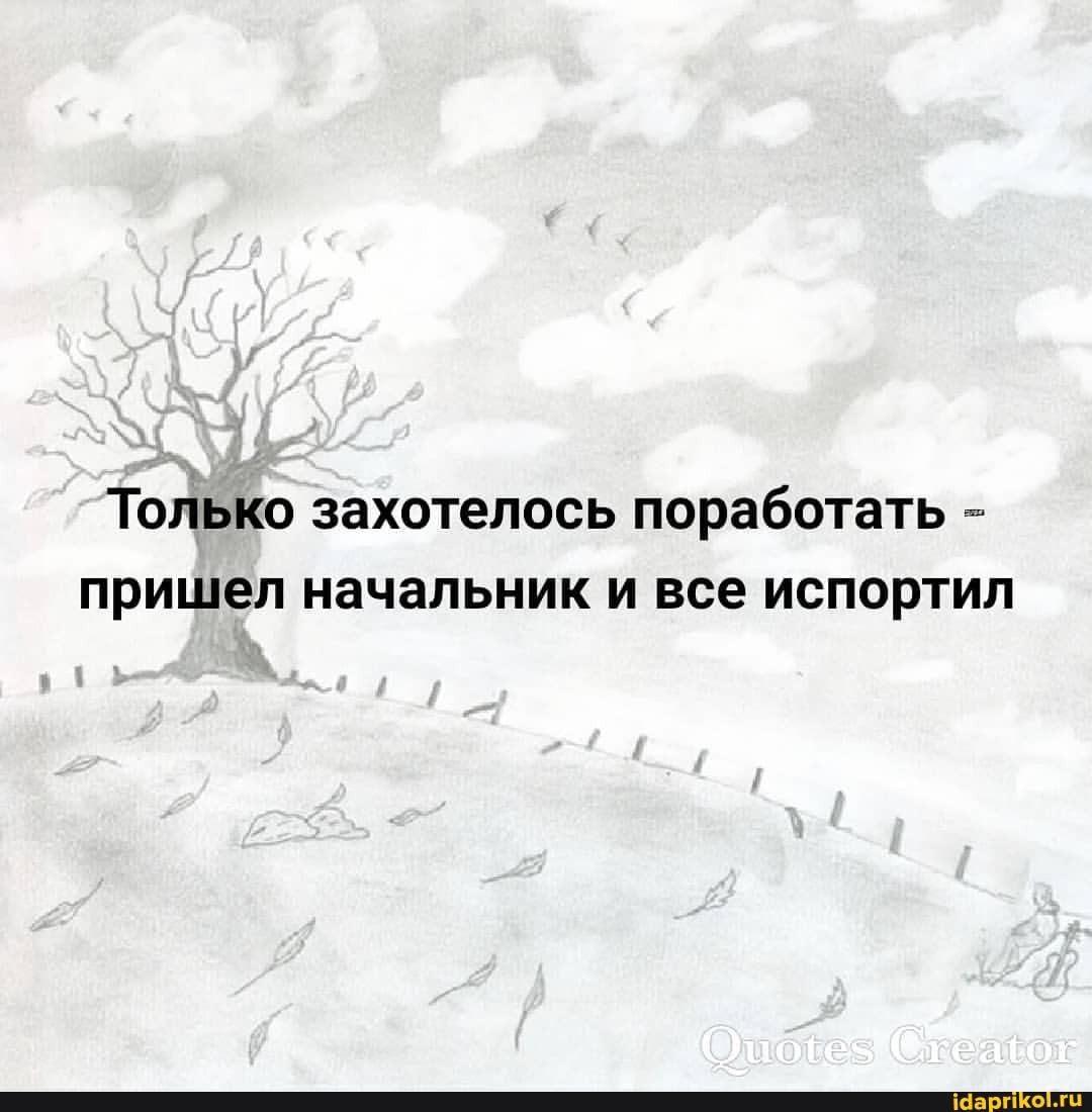 Только захотелось поработать - пришел начальник и все испортил