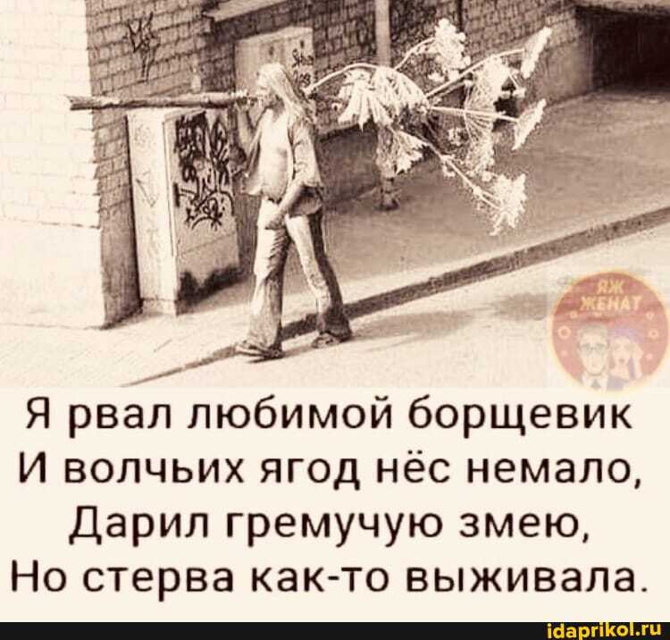 Я рвал любимой борщевик
И волчьих ягод нёс немало,
Дарил гремучую змею,
Но стерва как-то выживала.