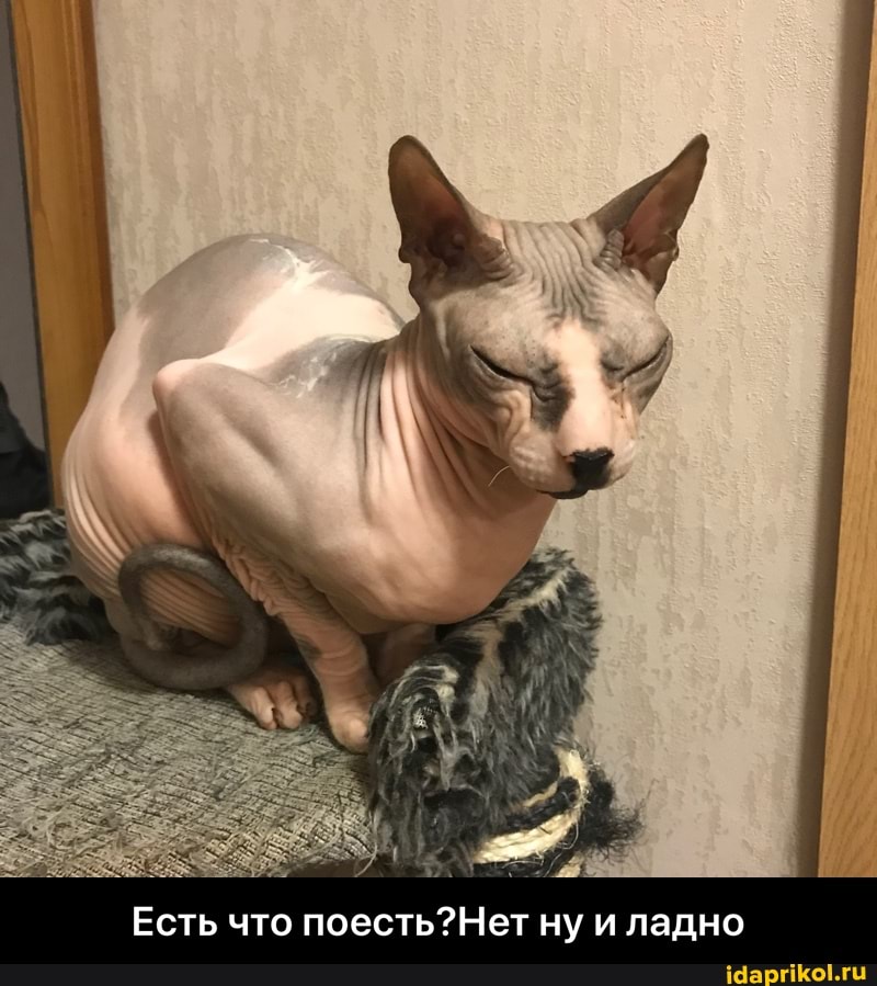 Есть что поесть?Нет ну и ладно - Есть что поесть?Нет ну и ладно