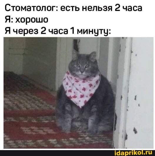 Стоматолог: есть нельзя 2 часа
Я: хорошо
Я через 2 часа 1 минуту: