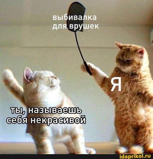 ты,
себя некрабйв*
выбивалка для врушек
называе\