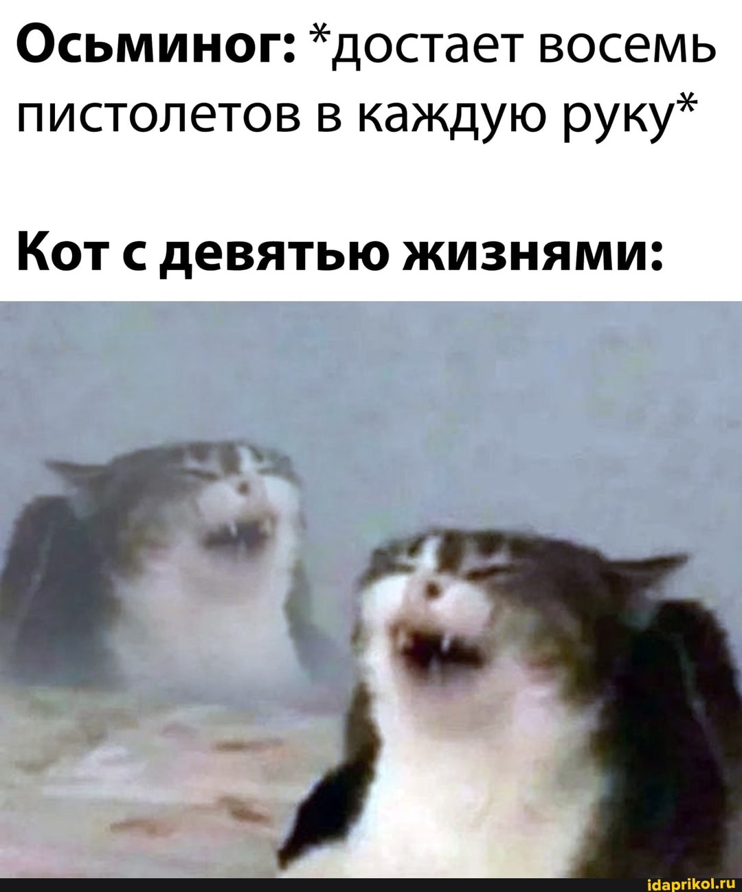 Осьминог: *достает восемь пистолетов в каждую руку*
Кот с девятью жизнями: