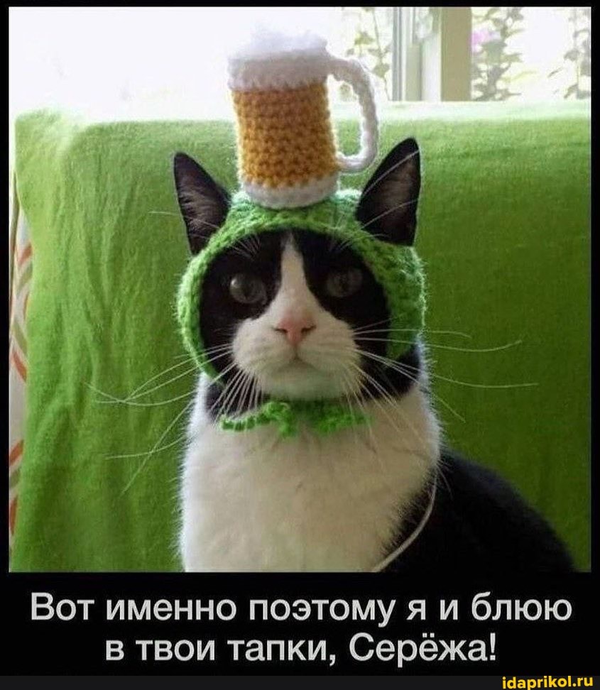 Вот именно поэтому я и блюю в твои тапки, Серёжа!