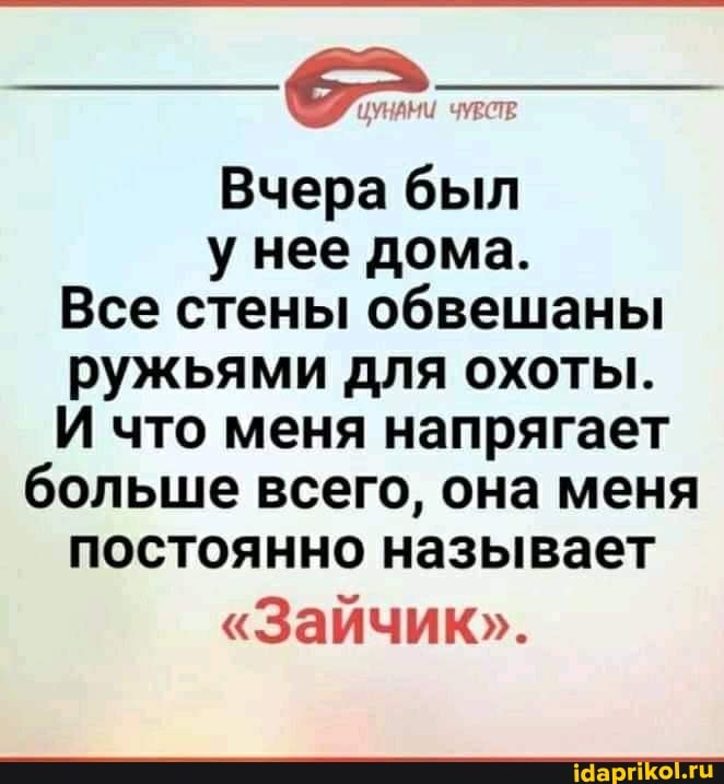 ЦУНАНИ
Вчера был у нее дома.
Все стены обвешаны ружьями для охоты.
И что меня напрягает больше всего, она меня постоянно называет
"Зайчик".