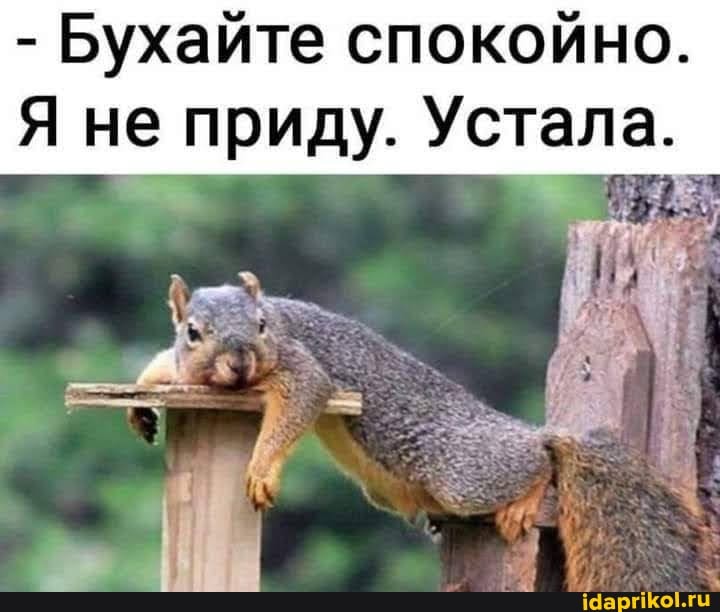 - Бухайте спокойно.
Я не приду. Устала.