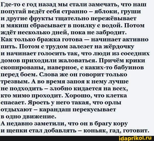 Где-то с год назад мы стали замечать, что наш попугай ведёт себя странно - яблоки, груши
и другие фрукты тщательно пережёвывает
и мякиш сбрасывает в поилку с водой. Потом ждёт несколько дней, пока не забродит.
Как только бражка готова - начинает активно пить. Потом с трудом залезет на жёрдочку
и начинает голосить так, что люди из соседних домов приходили жаловаться. Причём крики скопированы, наверное, каких-то бабуинов перед боем. Слова же он говорит только трезвым. А во время запоя к нему лучше
не подходить - злобно кидается на всех,
кто мимо проходит. Хорошо, что клетка спасает. Ярость у него такая, что орлы отдыхают - карандаш перекусывает
в одно движение.
А недавно заметили, что он в брагу кору
н щепки стал добавлять - коньяк, гад, готовит.