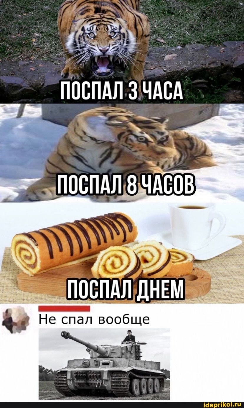 ПОСПАЛЗЧАСА
Не спал вообще