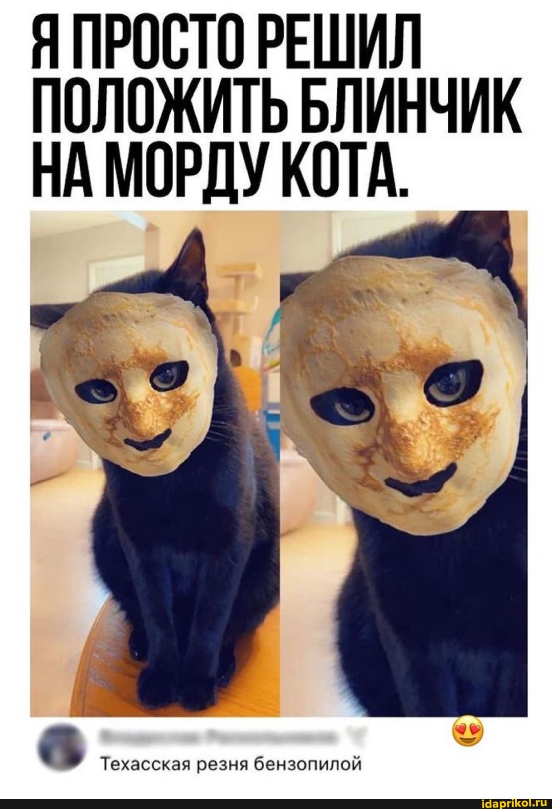 Я ПРОСТО РЕШИЛ ПОЛОЖИТЬ БЛИНЧИК НА МОРДУ КОТА.