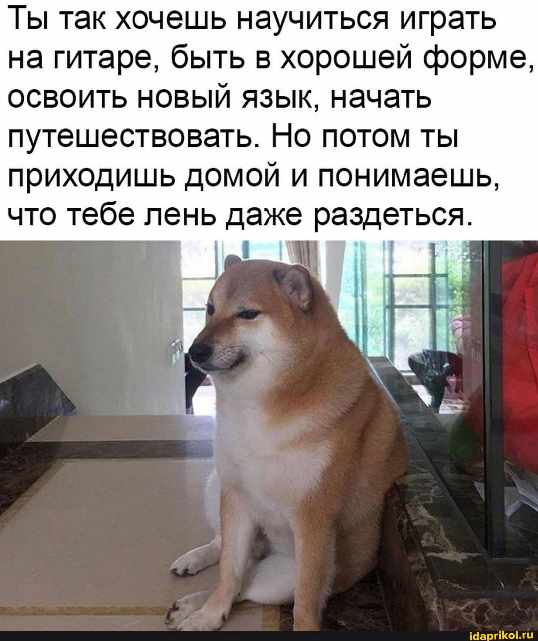 Ты так хочешь научиться играть на гитаре, быть в хорошей форме, освоить новый язык, начать путешествовать. Но потом ты приходишь домой и понимаешь, что тебе лень даже раздеться.