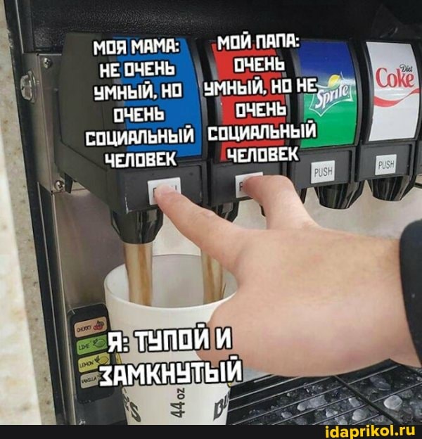 СОЦИАЛЬНЫЙ СОЦИАЛЬНЫЙ
ЧЕЛОВЕК a