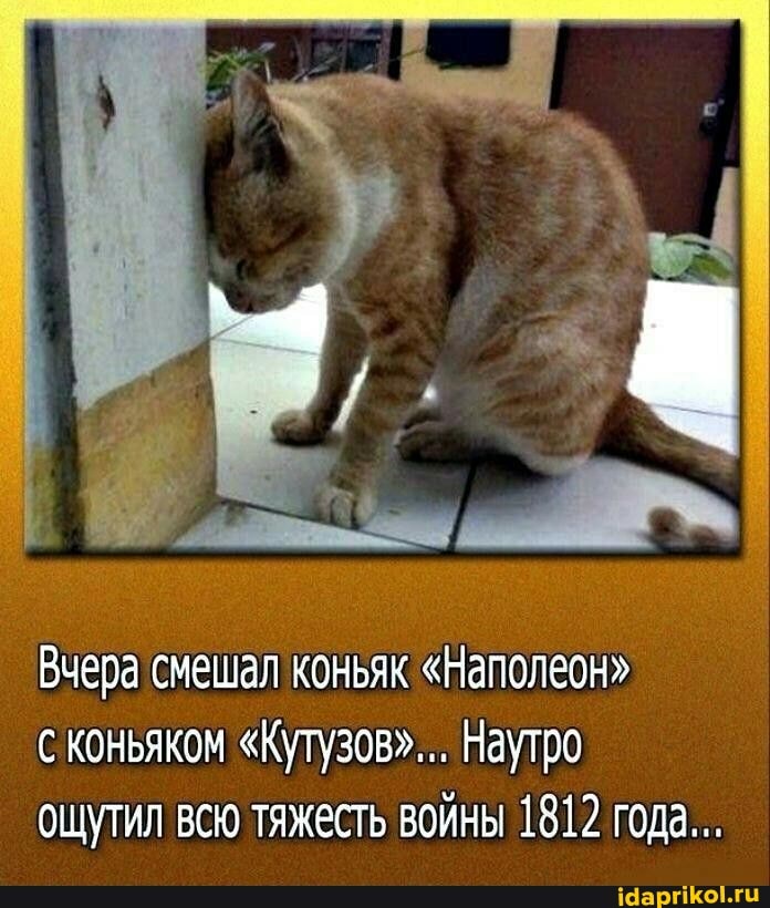 Фото Похмелье С Утра Прикольные Девушке Фото Похмелье С Утра Прикольные Девушке