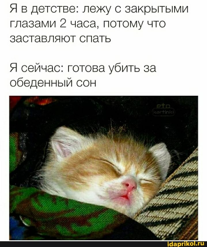 Я в детстве: лежу с закрытыми глазами 2 часа, потому что заставляют спать
Я сейчас: готова убить за обеденный сон