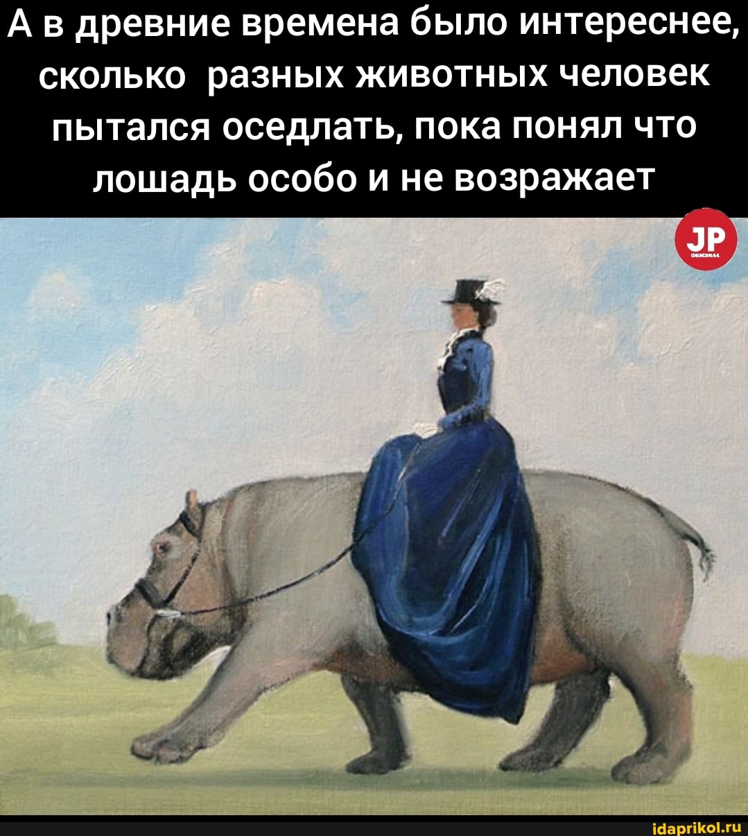 А в древние времена было интереснее, сколько разных животных человек пытался оседлать, пока понял что лошадь особо и не возражает
ЭР