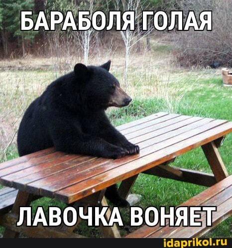 БАРАБОЛЯ ГОЛАЯ
ЛАВОЧКА ВОНЯЕТ