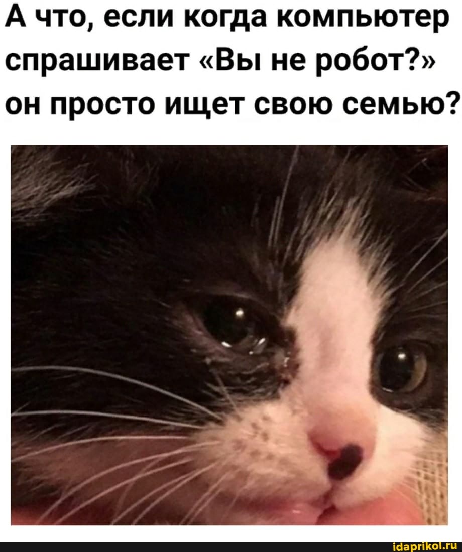 А что, если когда компьютер спрашивает "Вы не робот?" он просто ищет свою семью?