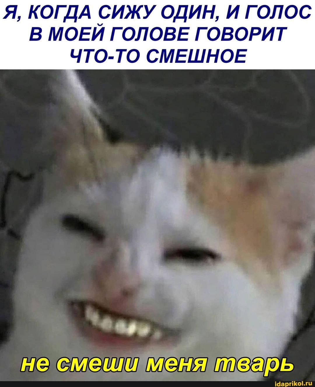 Я, КОГДА СИЖУ ОДИН, И ГОЛОС В МОЕЙ ГОЛОВЕ ГОВОРИТ
ЧТО-ТО СМЕШНОЕ
не смеши &ня тварь