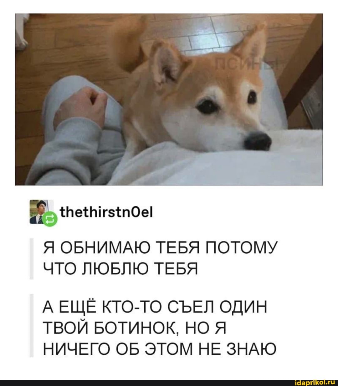 Я ОБНИМАЮ ТЕБЯ ПОТОМУ ЧТО ЛЮБЛЮ ТЕБЯ
А ЕЩЁ КТО-ТО СЪЕЛ ОДИН ТВОЙ БОТИНОК, НО Я НИЧЕГО ОБ ЭТОМ НЕ ЗНАЮ