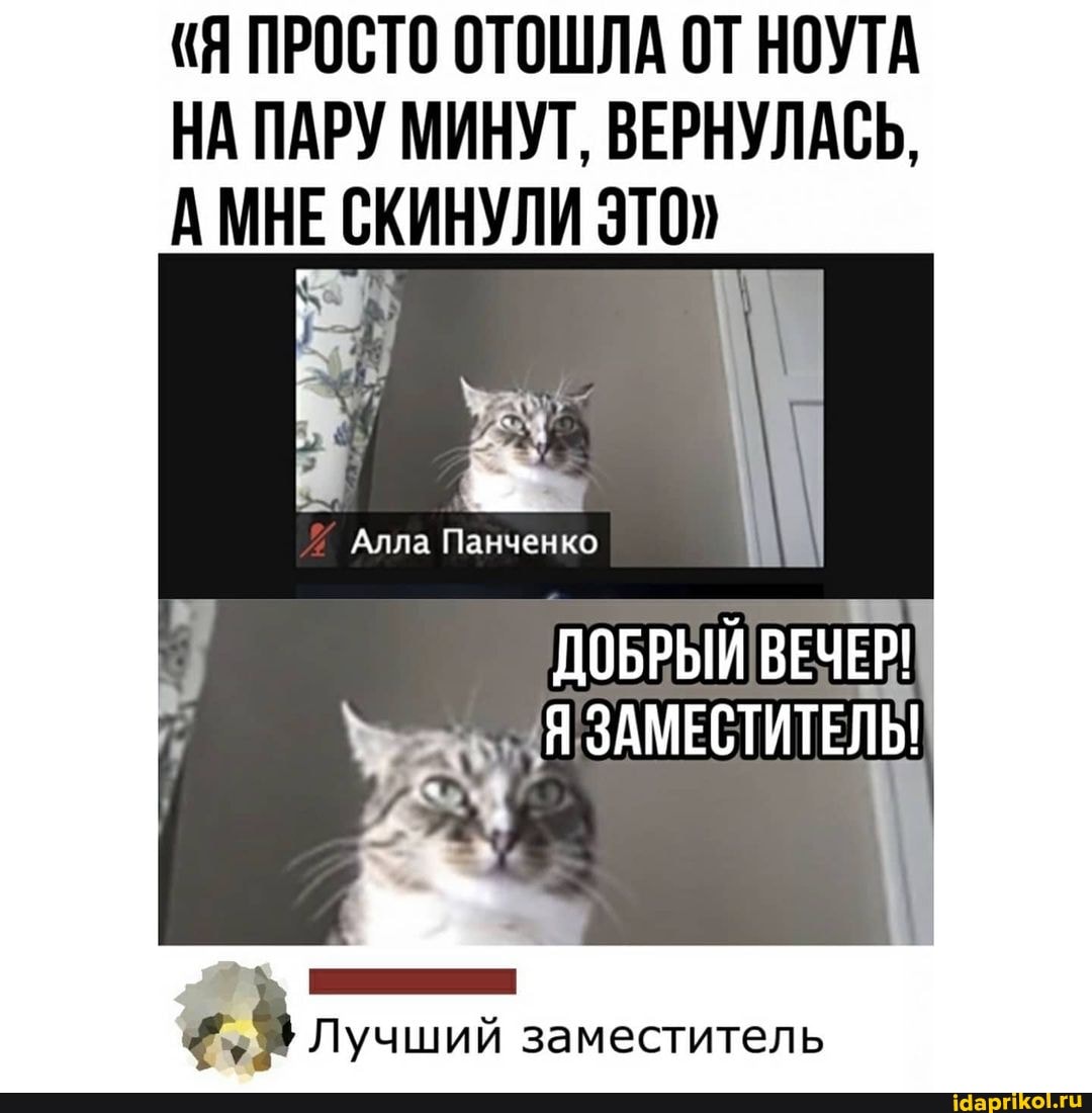 (Я ПРОСТО ОТОШЛА ОТ НОУТА НА ПАРУ МИНУТ, ВЕРНУЛАСЬ,
АМНЕ СКИНУЛИ ЭТО"
РЕ
Алла Панченко
ДОБРЫЙ ВЕЧЕР!
Лучший заместитель