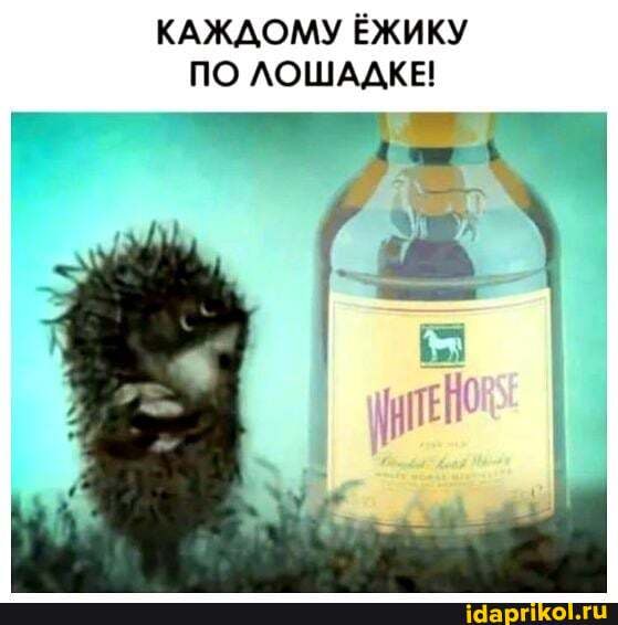 КАЖДОМУ ЁЖИКУ ПО ЛОШАДКЕ!