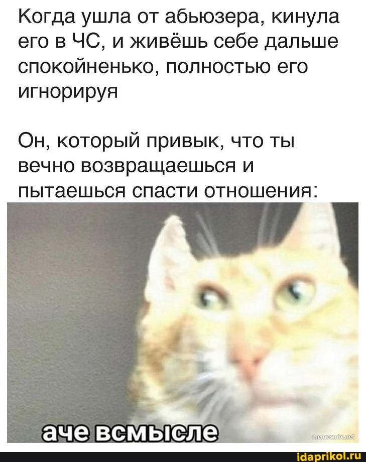 Когда ушла от абьюзера, кинула его в ЧС, и живёшь себе дальше спокойненько, полностью его игнорируя
Он, который привык, что ты вечно возвращаешься и пытаешься спасти отношения: