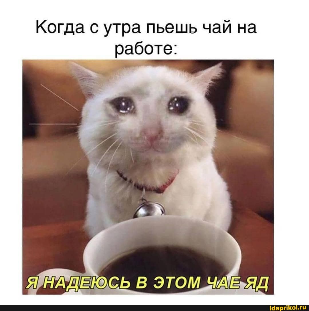 Когда с утра пьешь чай на
работе:
МАЛЕРОСЬ В ЭТОМ