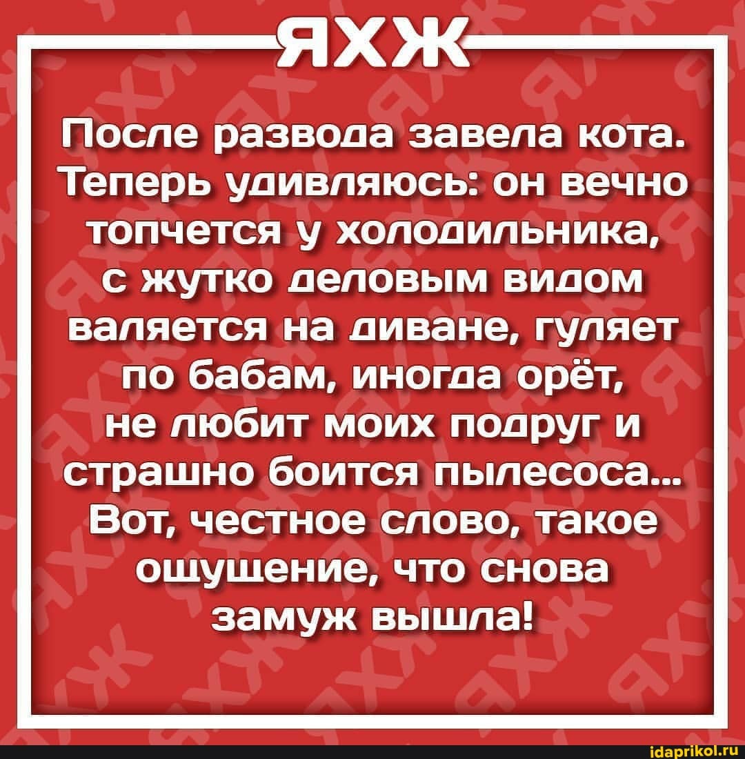 После развода завела кота.
Теперь удивляюсь: он вечно топчется у холодильника, с жутко деловым видом валяется на диване, гуляет по бабам, иногда орёт,
не любит моих подруг
страшно боится пылесоса...
Вот, честное слово, такое ошушение, что снова замуж вышла!