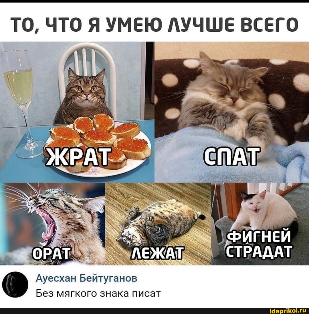 ТО, ЧТО Я УМЕЮ ЛУЧШЕ ВСЕГО
ФИГНЕЙ
Ауесхан Бейтуганов
Без мягкого знака писат