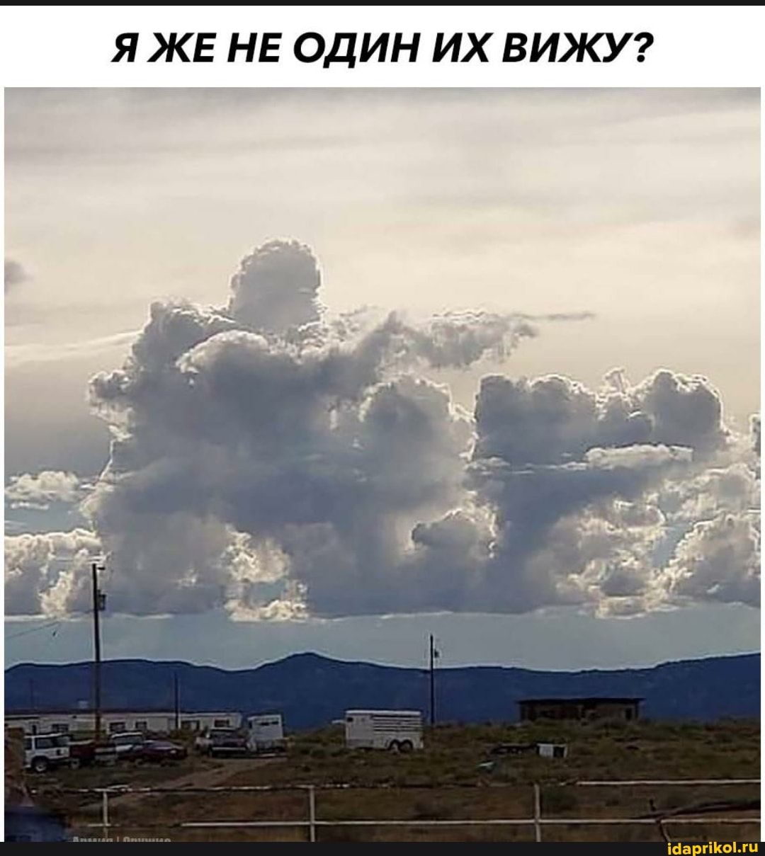 Я ЖЕ НЕ ОДИН ИХ ВИЖУ?