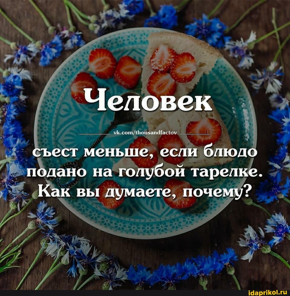 АР
Человек
сест меньше, если блюло подано на голубой тарелке.
Как вы думаете, почему?