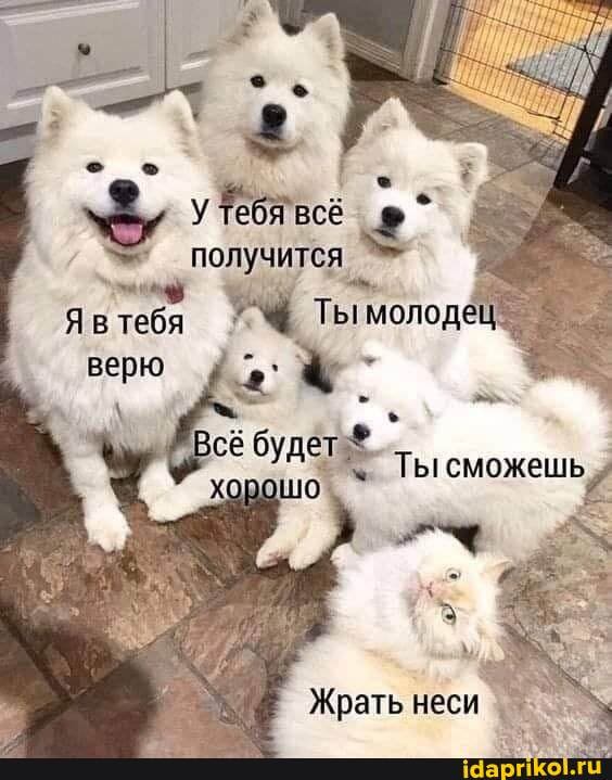 У тебя всё получится ^
Я в тебя
Жрать неси