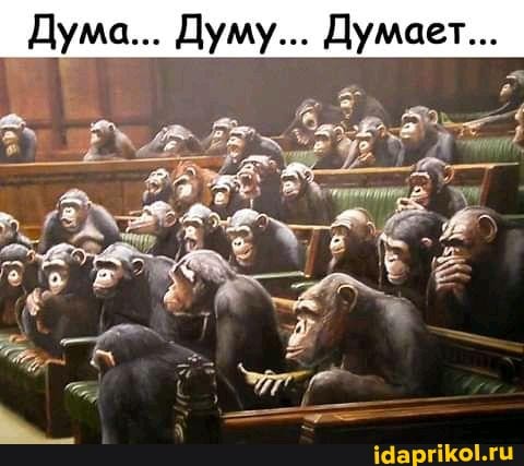 I Дума... Думу... Думает...