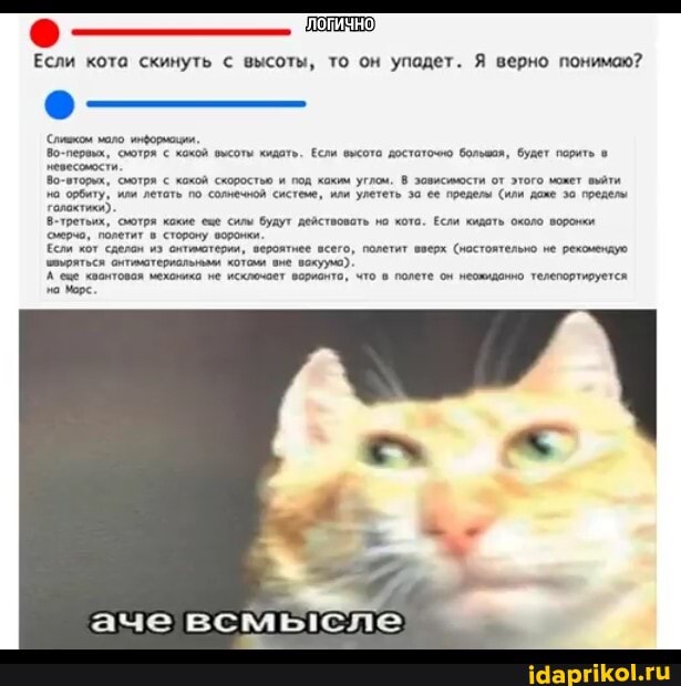 Если кота скинуть с высоты, то он упадет. Я верно понимаю?
Спяаком мало информоция
Во-первых, смотря хожой высоты кидать. Есля высото достотоею больвая, будет прить
невесомости
Во-вторых, смотря кокой скоростью под каким углом. В зовисиьюсти от этого может выйти орбиту, или летоть по солнечной системе, или улететь за ее пределы (или даже пределы голоктики).
В-третьих, смотря кокие еще силы будут действовать но кото. Если кидоть около воронки
рч, полетит в сторону воронки
Если кОт Сделон из ситимотерии, вероятнее всего, полетит вверх (ностоятельно не рекомендуе
ивыряться онтиматериольными котоми вмё вокуумо):
"аонтовая мехонико не исклечет вормомто, что в полете он неожиданно телепортируется
марс
аче