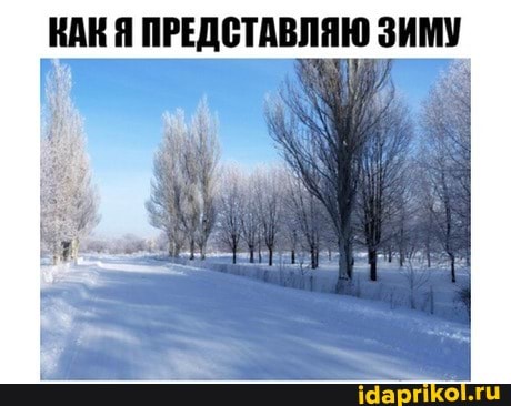КАК Я ПРЕДСТАВЛЯЮ ЗИМУ