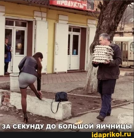 ЗА СЕКУНДУ ДО БОЛЬШОЙ ЯИЧНИЦЫ