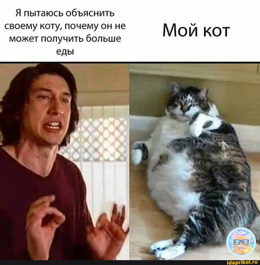пытаюсь обяснить
своему коту, почему он не может получить больше еды