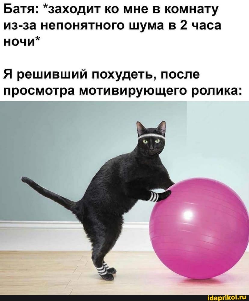 Батя: *заходит ко мне в комнату из-за непонятного шума в 2 часа ночи*
Я решивший похудеть, после просмотра мотивирующего ролика: