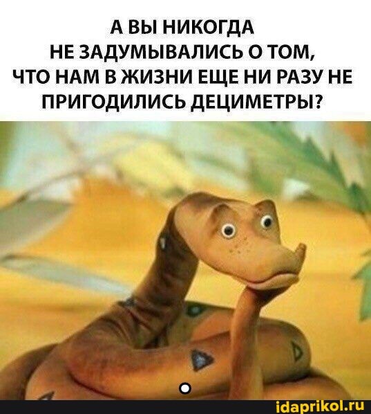 А ВЫ НИКОГДА НЕ ЗАДУМЫВАЛИСЬ О ТОМ,
ЧТО НАМ В ЖИЗНИ ЕЩЕ НИ РАЗУ НЕ ПРИГОДИЛИСЬ ДЕЦИМЕТРЫ?