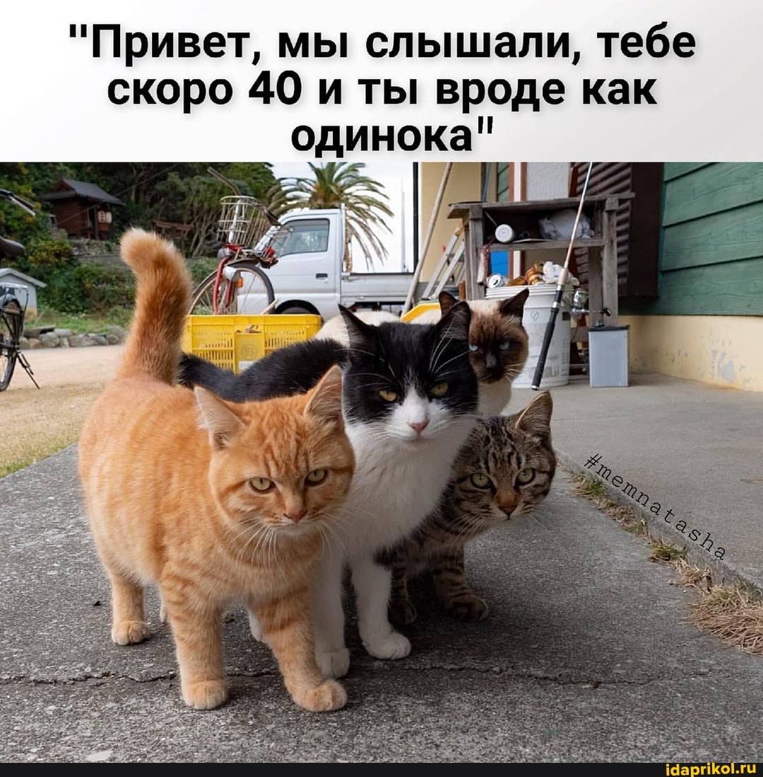 "Привет, мы слышали, тебе скоро 40 и ты вроде как одинока"