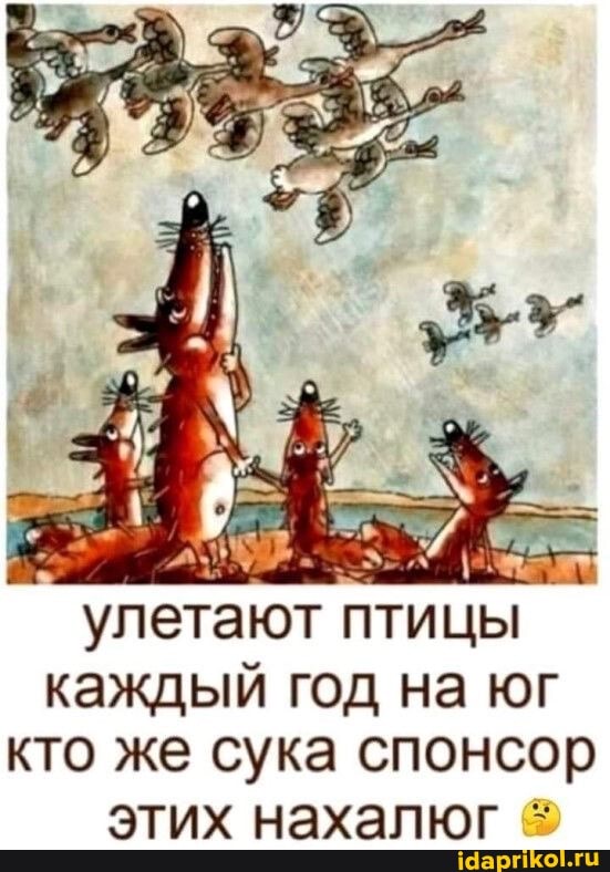 улетают птицы каждый год на юг
кто же сука спонсор этих нахалюг *