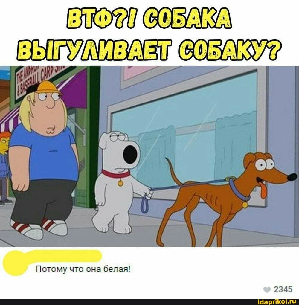СОБАКУ
Потому что она белая!
2345