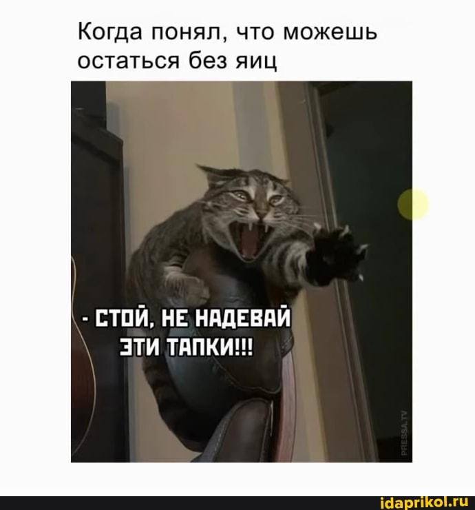 Когда понял, что можешь остаться без яиц
- СТОЙ, НЕ НАДЕВАЙ ЭТИ ТАПКИ!!