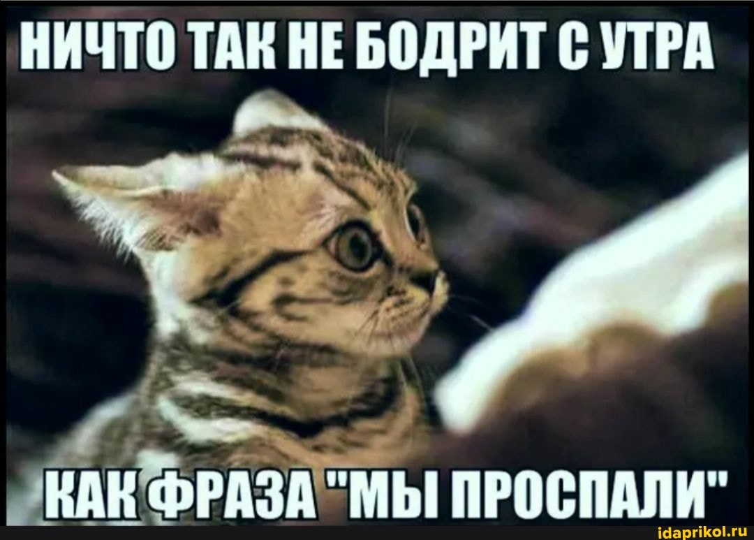 НИЧТО ТАК НЕ БОДРИТ С УТРА
ВАК ФРАЗА "МЫ ПРОСПАЛИ"