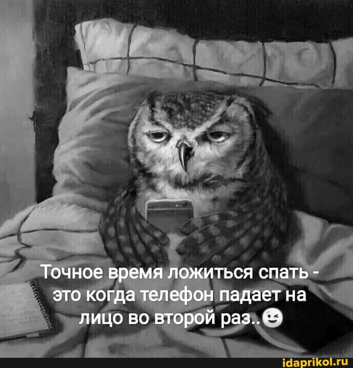 Точное время ложиться спать - это когда телефон падает на лицо во второй раз..
