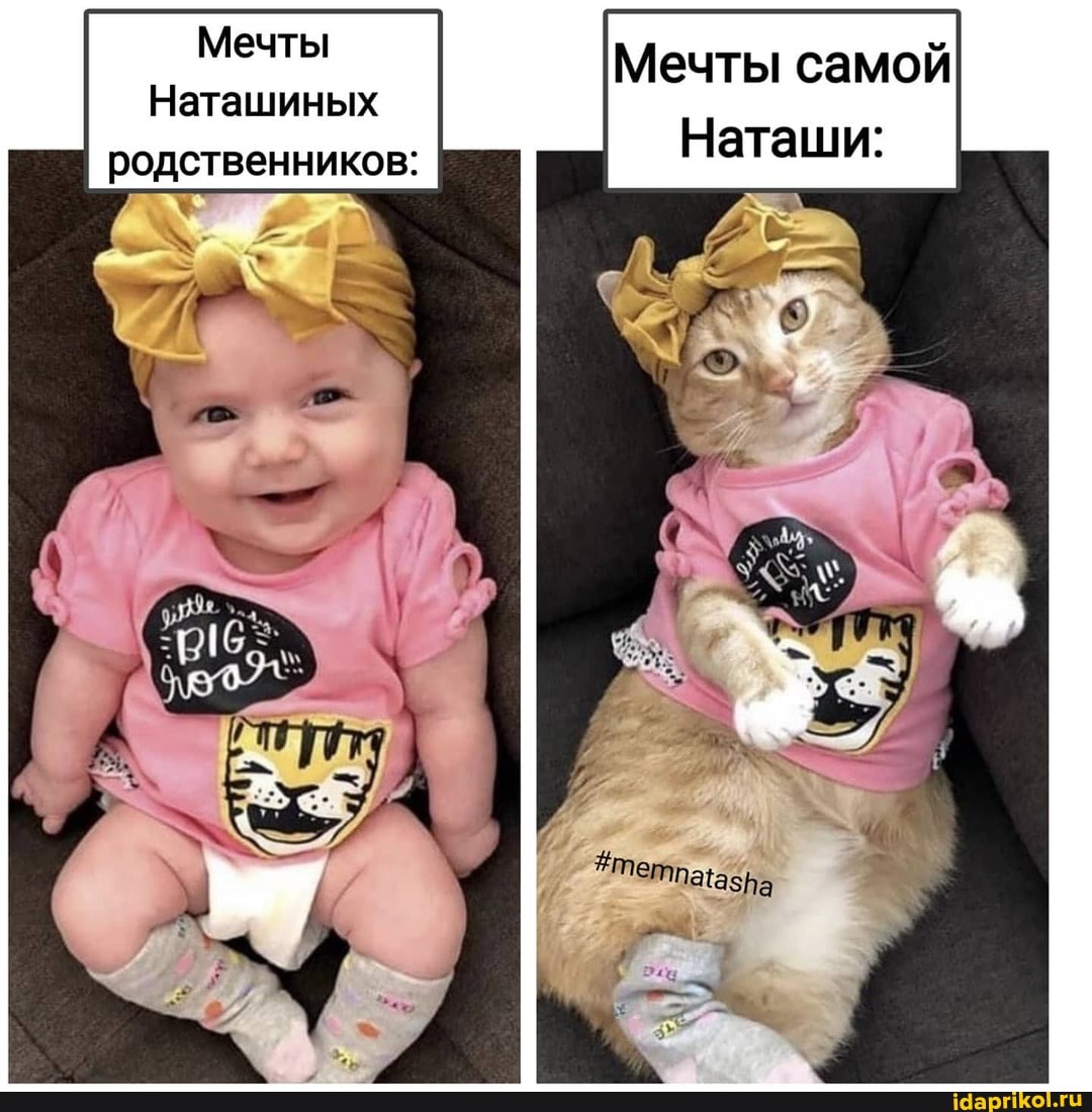Мечты
Наташиных родственников:
Мечты самой